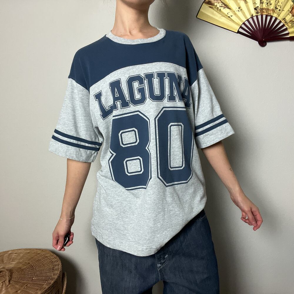 stussy laguna 80 jersey cotton graphic tee shirt gray blue